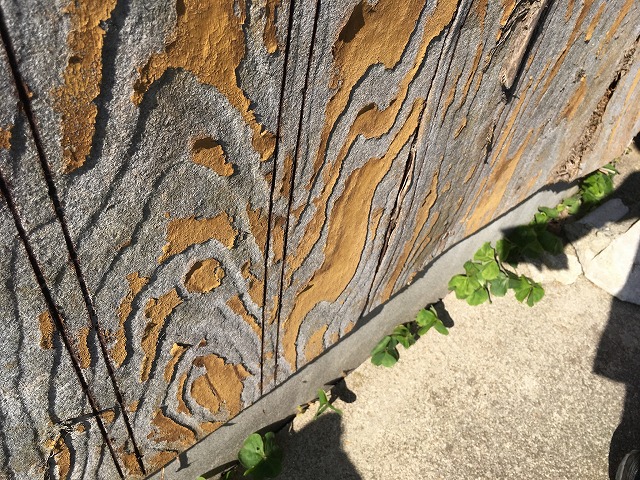 外壁が波打っている